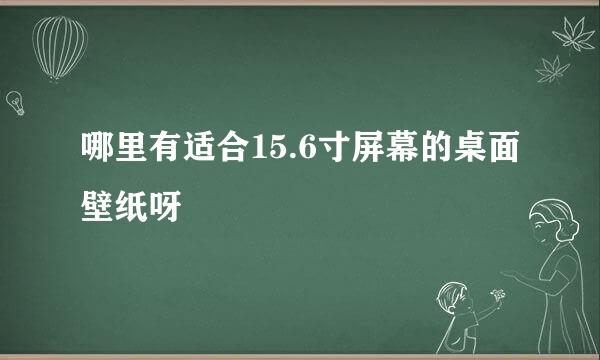 哪里有适合15.6寸屏幕的桌面壁纸呀