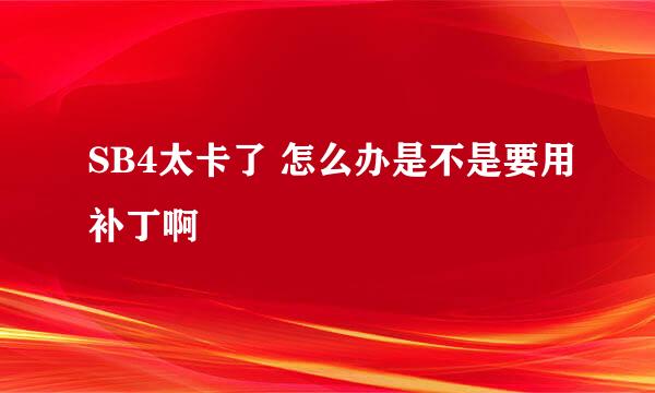 SB4太卡了 怎么办是不是要用补丁啊