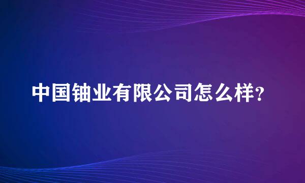 中国铀业有限公司怎么样？