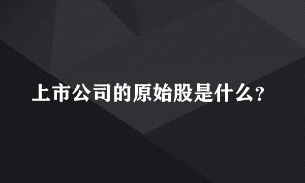 上市公司的原始股是什么？