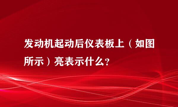 发动机起动后仪表板上（如图所示）亮表示什么？