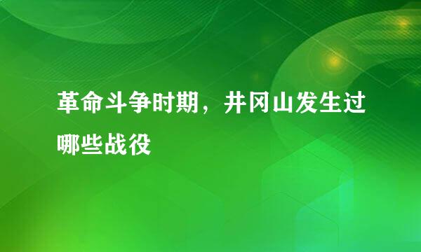 革命斗争时期，井冈山发生过哪些战役