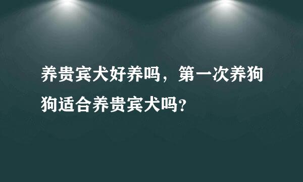 养贵宾犬好养吗，第一次养狗狗适合养贵宾犬吗？