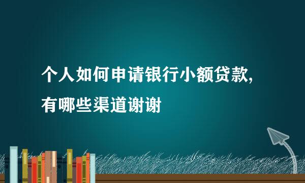 个人如何申请银行小额贷款,有哪些渠道谢谢