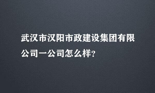 武汉市汉阳市政建设集团有限公司一公司怎么样？