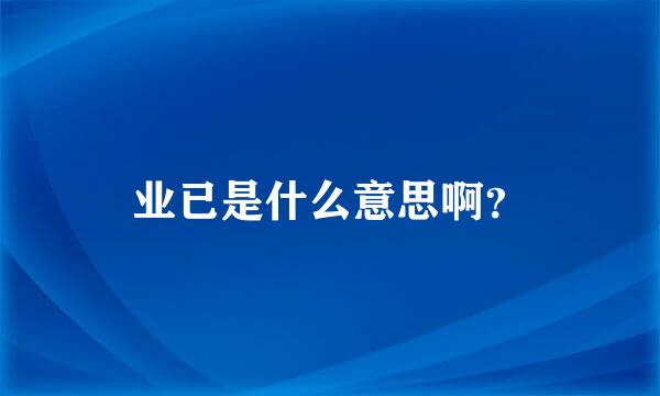 业已是什么意思啊？