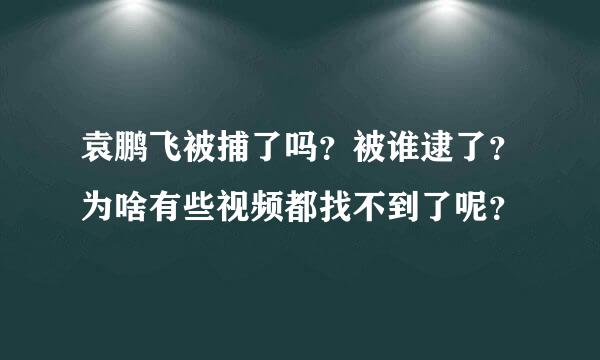 袁鹏飞被捕了吗？被谁逮了？为啥有些视频都找不到了呢？