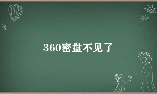 360密盘不见了