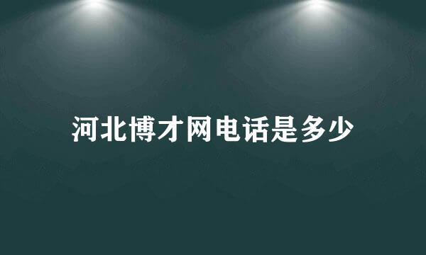 河北博才网电话是多少