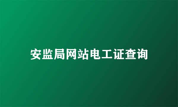 安监局网站电工证查询