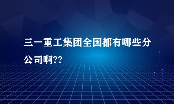 三一重工集团全国都有哪些分公司啊??