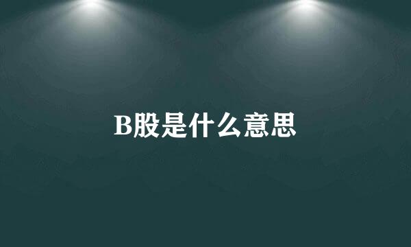 B股是什么意思