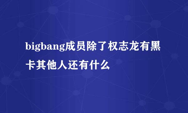 bigbang成员除了权志龙有黑卡其他人还有什么