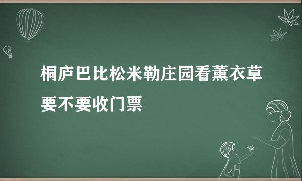 桐庐巴比松米勒庄园看薰衣草要不要收门票