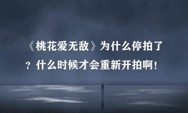 《桃花爱无敌》为什么停拍了？什么时候才会重新开拍啊！