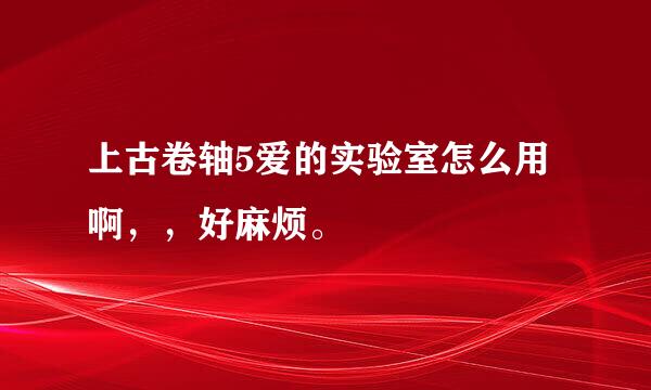 上古卷轴5爱的实验室怎么用啊，，好麻烦。