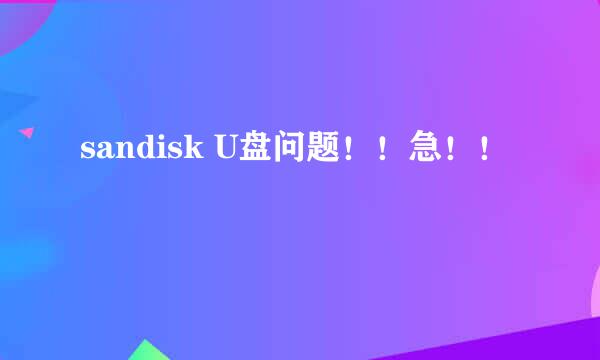 sandisk U盘问题！！急！！