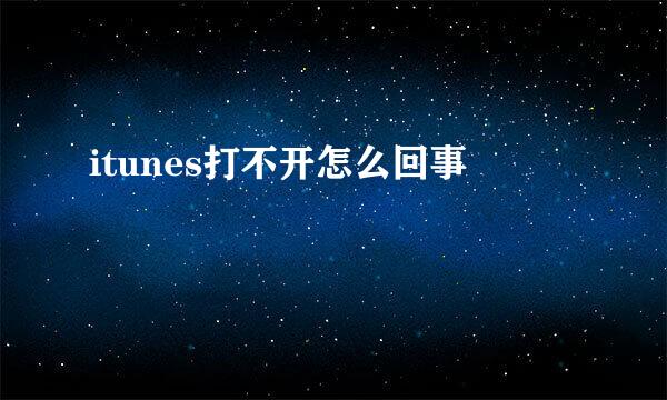 itunes打不开怎么回事