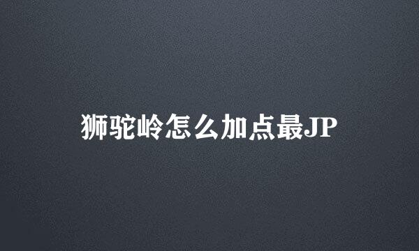 狮驼岭怎么加点最JP