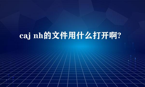 caj nh的文件用什么打开啊?