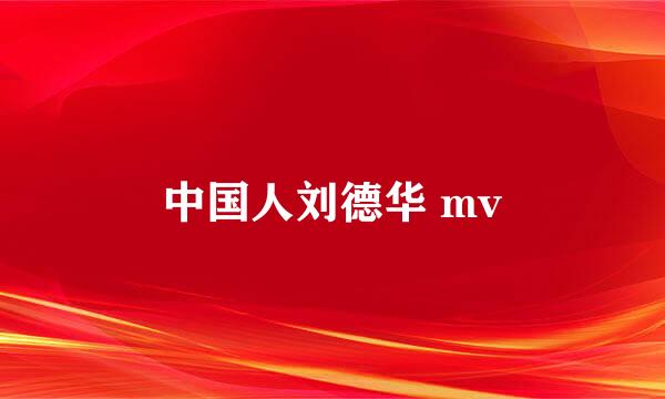 中国人刘德华 mv