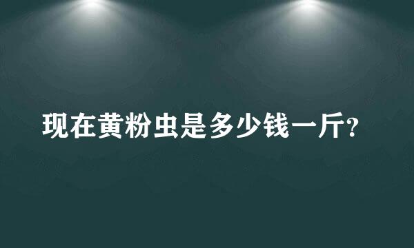 现在黄粉虫是多少钱一斤？