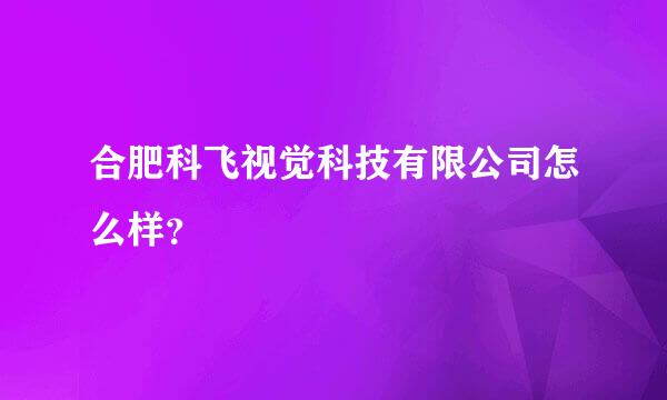 合肥科飞视觉科技有限公司怎么样？