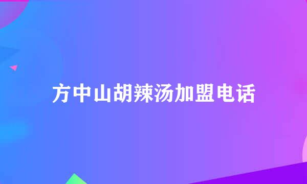 方中山胡辣汤加盟电话