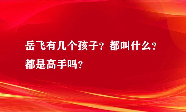 岳飞有几个孩子？都叫什么？都是高手吗？