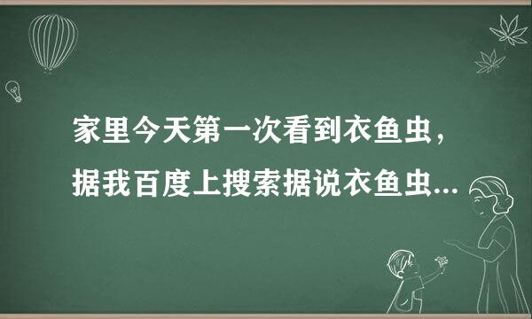 家里今天第一次看到衣鱼虫，据我百度上搜索据说衣鱼虫还喜欢吃？照片