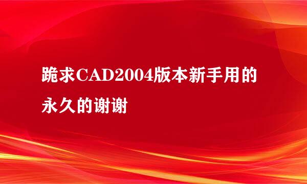 跪求CAD2004版本新手用的永久的谢谢