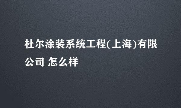 杜尔涂装系统工程(上海)有限公司 怎么样