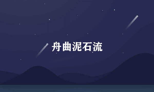 舟曲泥石流