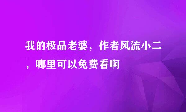 我的极品老婆，作者风流小二，哪里可以免费看啊