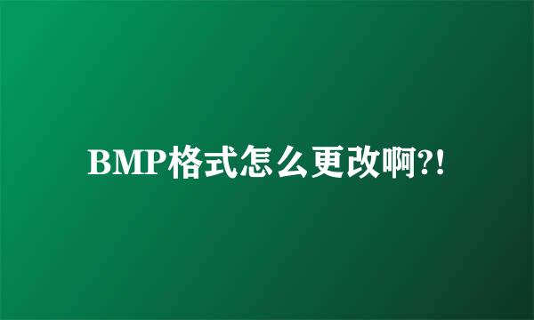 BMP格式怎么更改啊?!