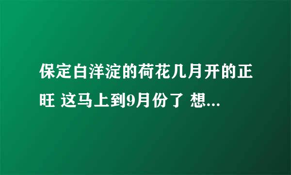 保定白洋淀的荷花几月开的正旺 这马上到9月份了 想去白洋淀看看 不知道那荷花还好看不 多不多