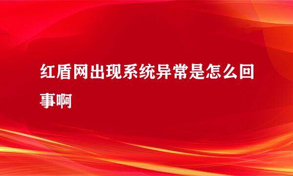 红盾网出现系统异常是怎么回事啊