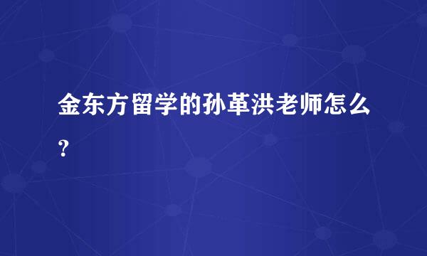 金东方留学的孙革洪老师怎么？