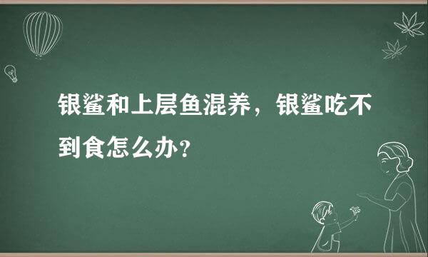 银鲨和上层鱼混养，银鲨吃不到食怎么办？