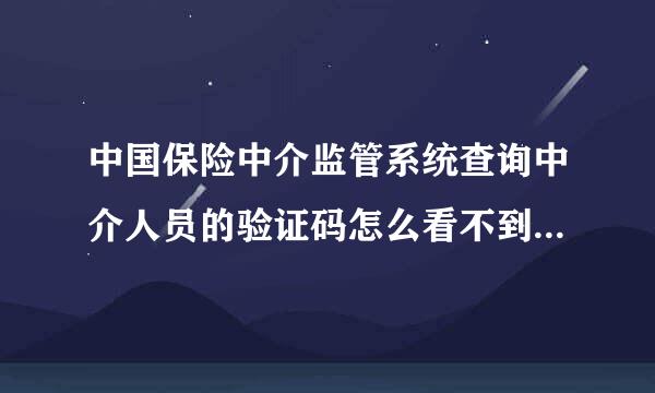 中国保险中介监管系统查询中介人员的验证码怎么看不到，只是一个问号