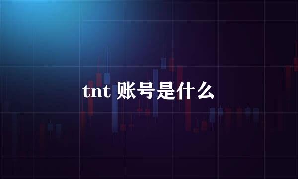 tnt 账号是什么