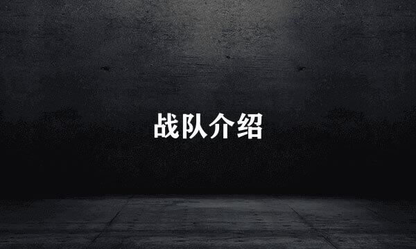 战队介绍