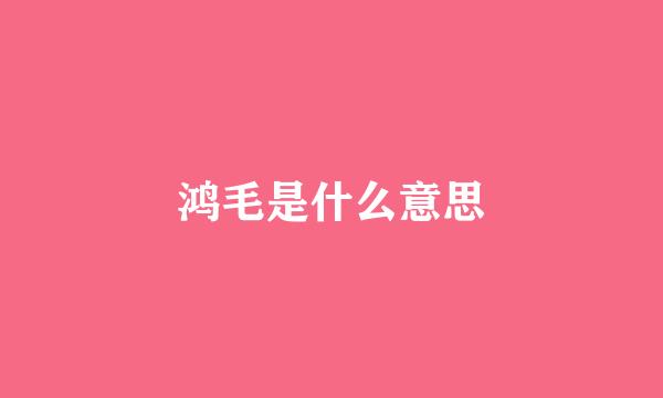 鸿毛是什么意思