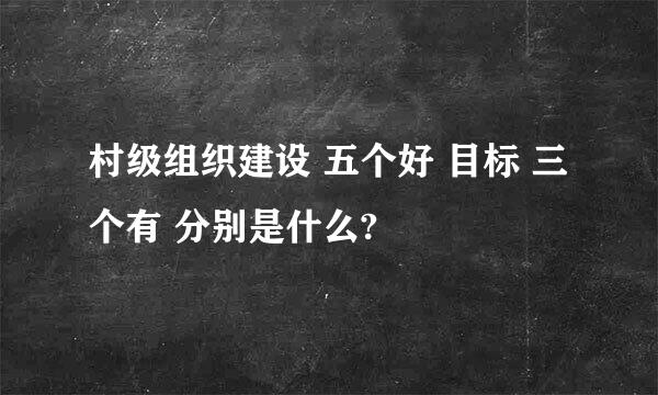 村级组织建设 五个好 目标 三个有 分别是什么?