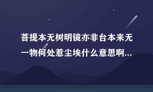 菩提本无树明镜亦非台本来无一物何处惹尘埃什么意思啊，出自哪