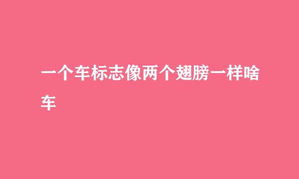 一个车标志像两个翅膀一样啥车