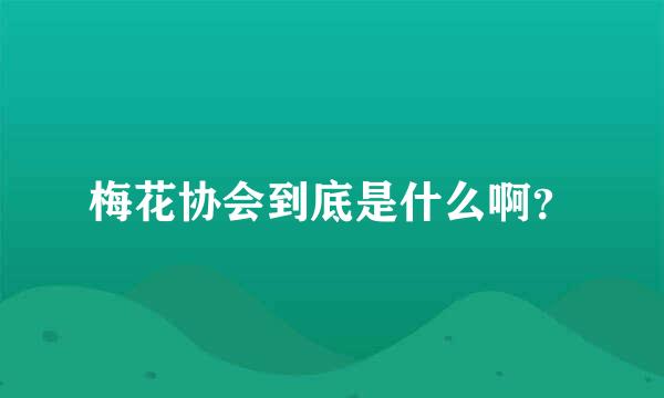 梅花协会到底是什么啊？