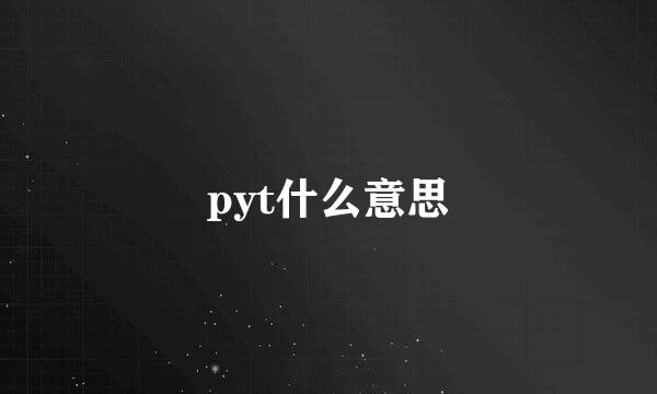 pyt什么意思