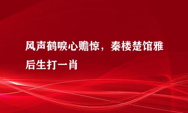 风声鹤唳心赡惊，秦楼楚馆雅后生打一肖