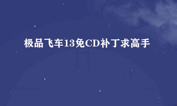 极品飞车13免CD补丁求高手